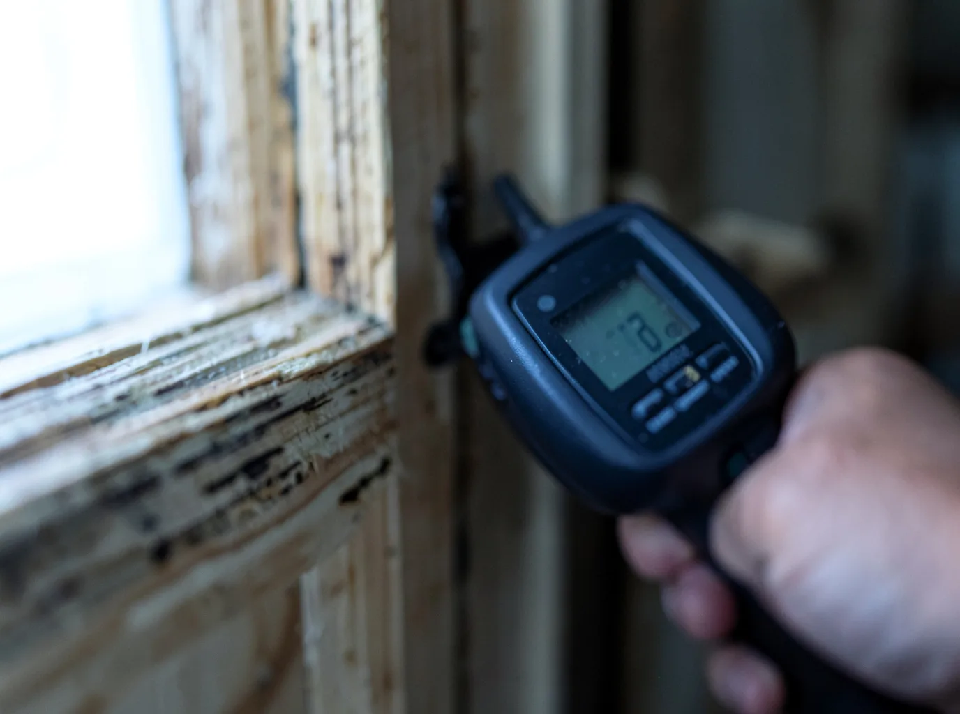 Moisture Inspection And Documentation in Saint Michaels, AZ